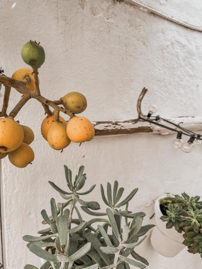 Appartamento Apartamento C-Alma En El Corazon De Vejer Vejer de la Frontera Esterno foto